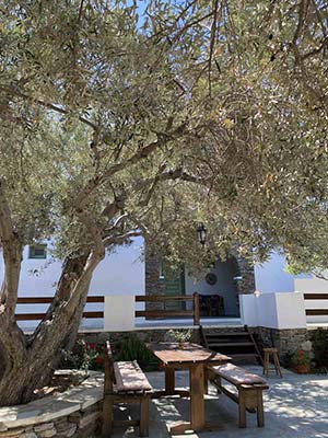 Βεράντα με θέα στον κήπο στο στούντιο 4
