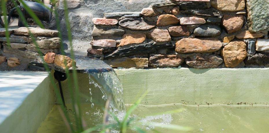 Un petit lac dans le jardin