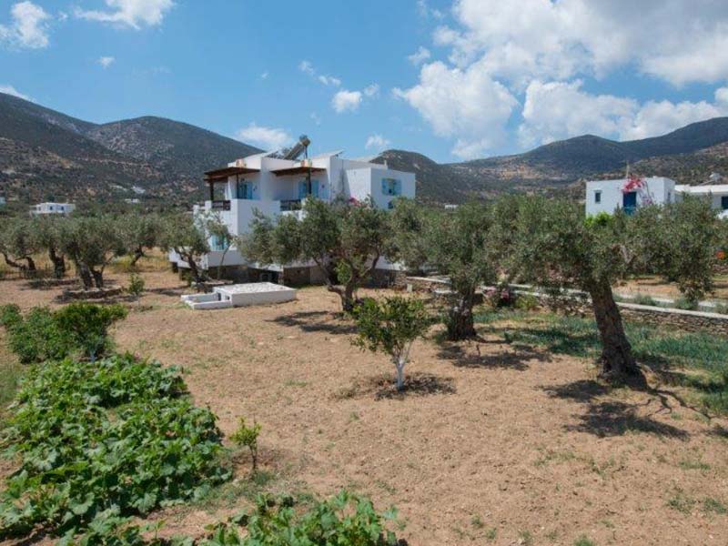 The outdoor areas at Madilides in sifnos